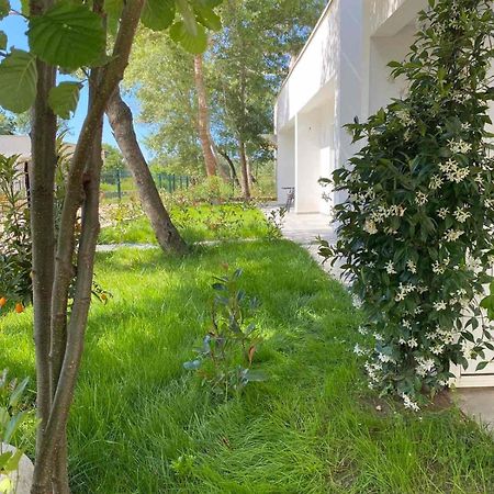 Villa Hanna Ulcinj Zewnętrze zdjęcie