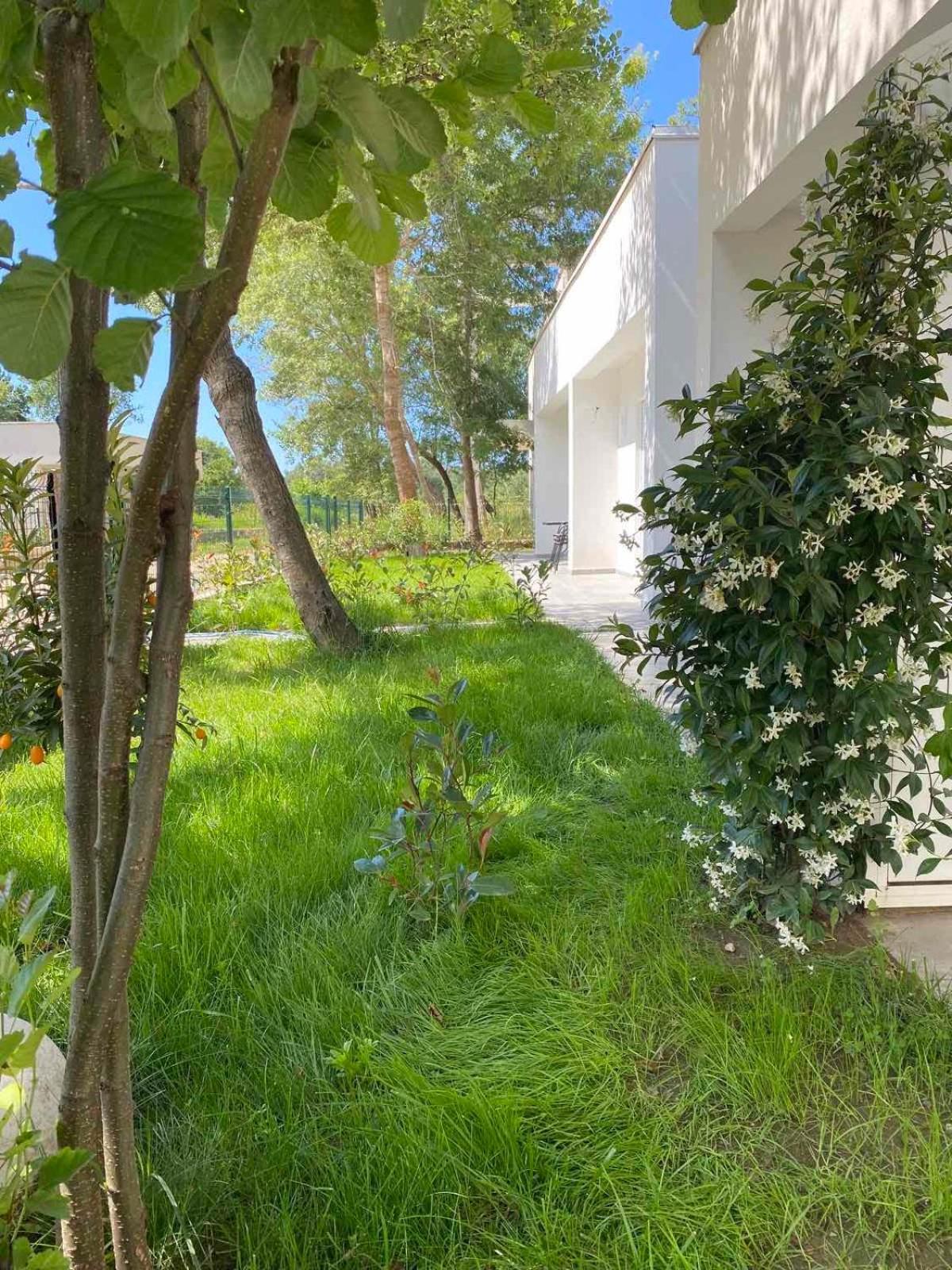 Villa Hanna Ulcinj Zewnętrze zdjęcie